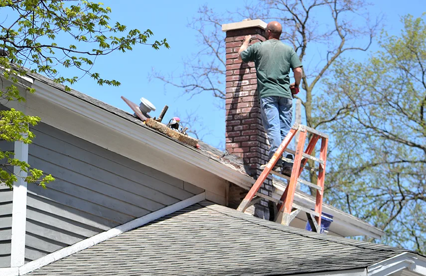 Chimney & Fireplace Inspections Services in Gaithersburg, MD